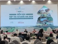 Liên minh Hợp tác xã tỉnh tham gia chuỗi hoạt động Kỷ niệm 80 năm Ngày Bác Hồ viết thư kêu gọi điền chủ, nông gia tham gia hợp tác xã nông nghiệp