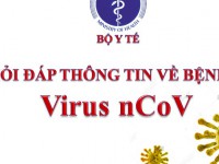 CẨM NANG HỎI – ĐÁP THÔNG TIN VỀ BỆNH VIÊM ĐƯỜNG HÔ HẤP CẤP DO CHỦNG MỚI VI RÚT CORONA (nCoV)