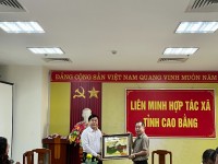 Liên minh Hợp tác xã tỉnh Cao Bằng tiếp và làm việc với Liên minh Hợp tác xã Thành phố Hà Nội