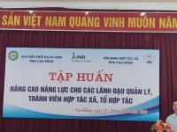 LỚP TẬP HUẤN ĐẨY MẠNH NÂNG CAO NĂNG LỰC LÃNH ĐẠO, QUẢN LÝ THÀNH VIÊN HỢP TÁC XÃ, TỔ HỢP TÁC TRÊN ĐỊA BÀN TỈNH CAO BẰNG