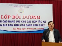 Liên minh Hợp tác xã tỉnh Cao Bằng tổ chức lớp Bồi dưỡng nâng cao năng lực cho các HTX Nông nghiệp trên địa bàn tỉnh Cao Bằng