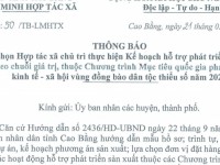 Thông báo Lựa chọn HTX chủ trì thực hiện Kế hoạch hỗ trợ phát triển sản xuất theo chuỗi giá trị