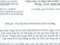 Thông báo Tham gia Dự án "Thanh niên trong HTX là chủ thể của chuyển đổi số tại địa phương"