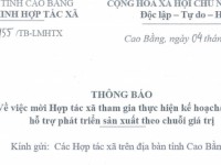 Thông báo về việc mời Hợp tác xã tham gia thực hiện kế hoạch/dự án hỗ trợ phát triển sản xuất theo chuỗi giá trị