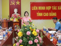 Phó Chủ tịch UBND tỉnh Nguyễn Bích Ngọc: Thực hiện tốt vai trò đầu mối tập hợp, xây dựng, phát triển liên minh các Hợp tác xã tỉnh
