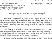 Triển khai chương trình "HTX liên kết với hộ nông dân để phát triển kinh tế và thoát nghèo bền vững" của Quỹ Thiện Tâm