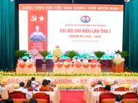 Đại hội đảng bộ các cấp nhiệm kỳ 2025 - 2030, tiến tới Đại hội đại biểu toàn quốc lần thứ XIV của Đảng