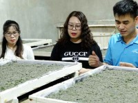 Hợp tác xã 118 đi đầu trong phong trào thi đua "Vì người nghèo - Không để ai bị bỏ lại phía sau”