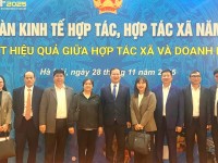 Liên minh hợp tác xã tỉnh tham dự Diễn đàn Kinh tế hợp tác, hợp tác xã năm 2025