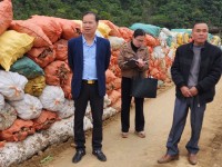 Dong riềng mất gần nửa giá, tỉnh Cao Bằng ra 'chỉ thị khẩn'