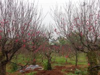 Liên minh Hợp tác xã tỉnh thăm và tặng quà Tết các đơn vị thành viên