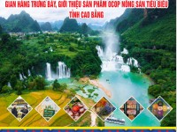 Liên minh Hợp tác xã tỉnh Cao Bằng tham gia trưng bày, giới thiệu sản phẩm OCOP, Nông sản tiêu biểu tỉnh Cao Bằng tại Hội Báo Xuân Bính Ngọ 2026 khai mạc ngày 27/2 tại Vườn hoa trung tâm tỉnh