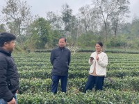 Hợp tác xã Nông nghiệp chuẩn bị nguồn hàng cung ứng dịp Tết nguyên đán Bính Ngọ 2026