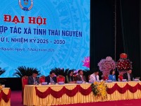 Liên minh Hợp tác xã tỉnh Cao Bằng đã tham dự Đại hội Liên minh Hợp tác xã tỉnh Thái Nguyên lần thứ I, nhiệm kỳ 2025 – 2030.