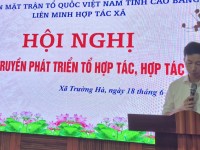 LIÊN MINH HỢP TÁC XÃ TỔ CHỨC TUYÊN TRUYỂN PHÁT TRIỂN TỔ HỢP TÁC, HỢP TÁC XÃ NĂM 2026