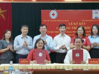 Hội Chữ thập đỏ - Liên minh Hợp tác xã tỉnh phối hợp hỗ trợ nhân đạo, phát triển sinh kế bền vững