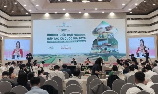 Liên minh Hợp tác xã tỉnh tham gia chuỗi hoạt động Kỷ niệm 80 năm Ngày Bác Hồ viết thư kêu gọi điền chủ, nông gia tham gia hợp tác xã nông nghiệp