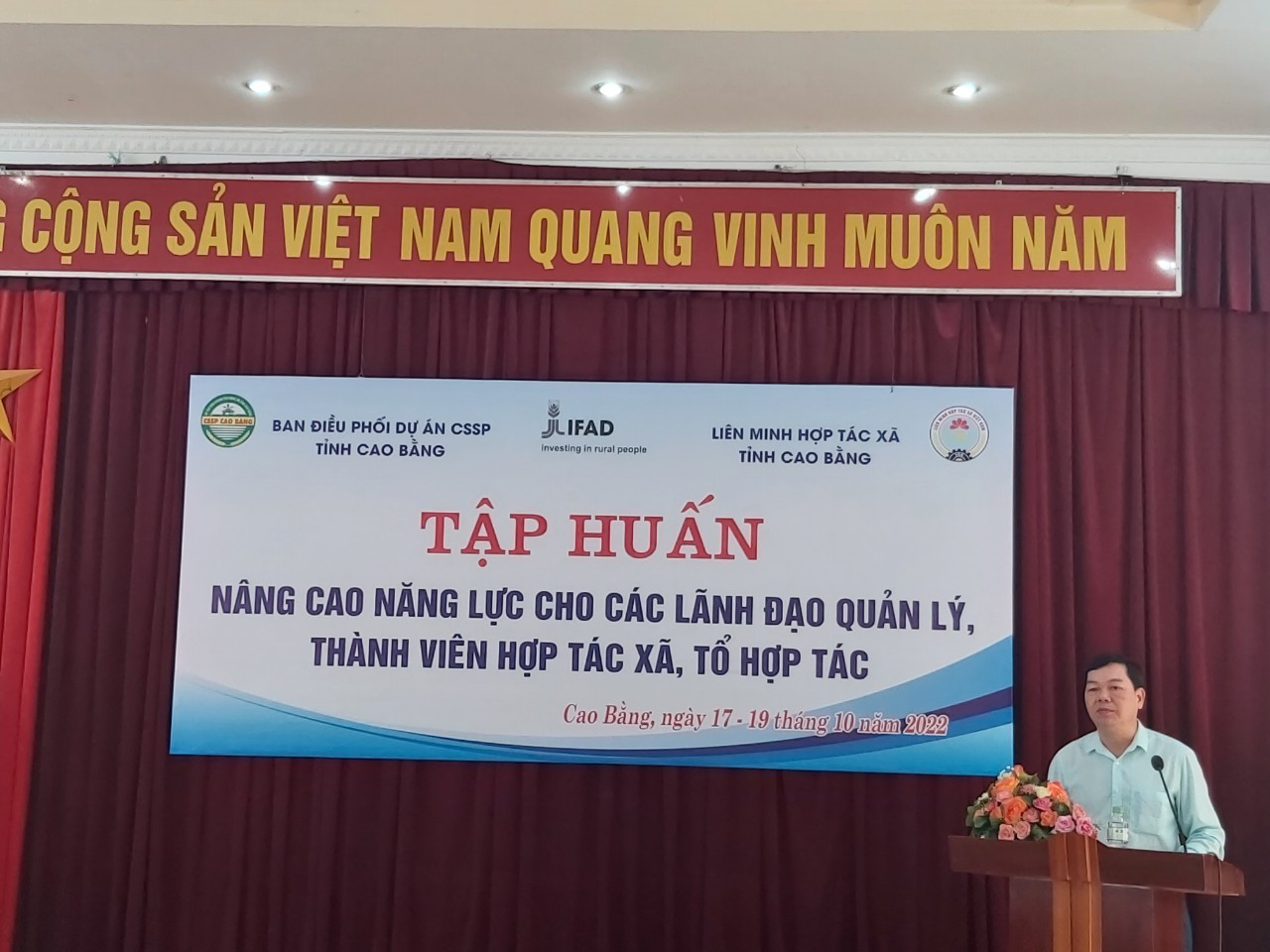 2 ha ngo tuan