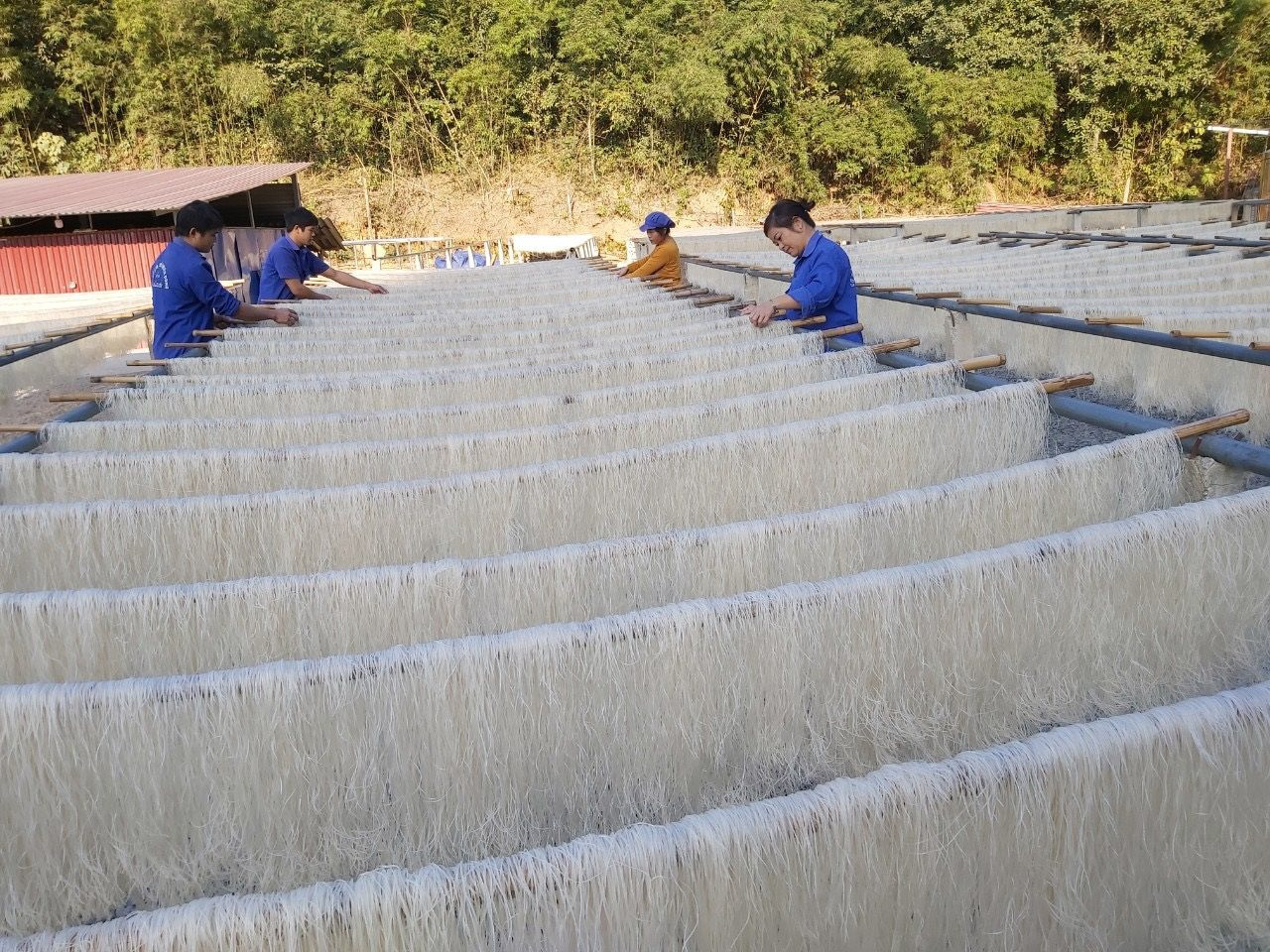 Mô hình Hợp tác xã tại Cao Bằng: "Điểm sáng" trong giảm nghèo bền vững