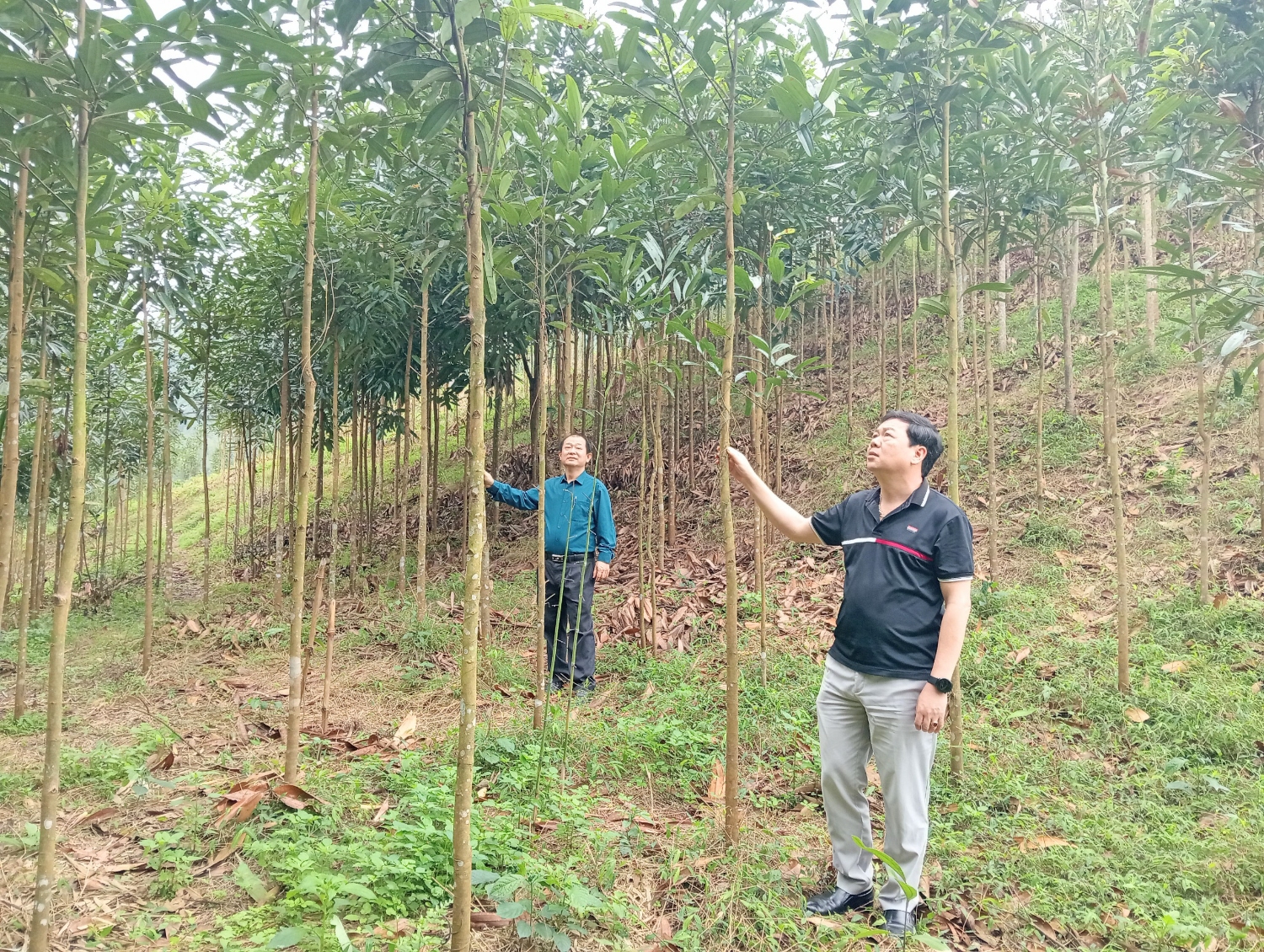 Kiểm tra và rà soát các hộ tham gia liên kết năm 2024, đánh giá việc thực hiện Kế hoạch hỗ trợ phát triển sản xuất, liên kết theo chuỗi giá trị gắn với tiêu thụ sản phẩm