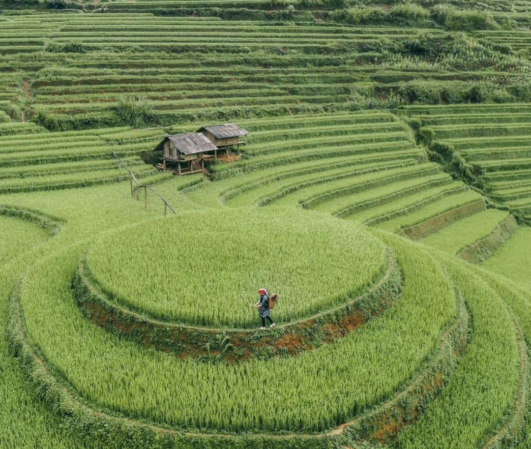 HTX Du lịch đồi Mâm xôi La Pán Tẩn - Mù Cang Chải tận dụng lợi thế mạng xã hội để quảng bá, phát triển du lịch