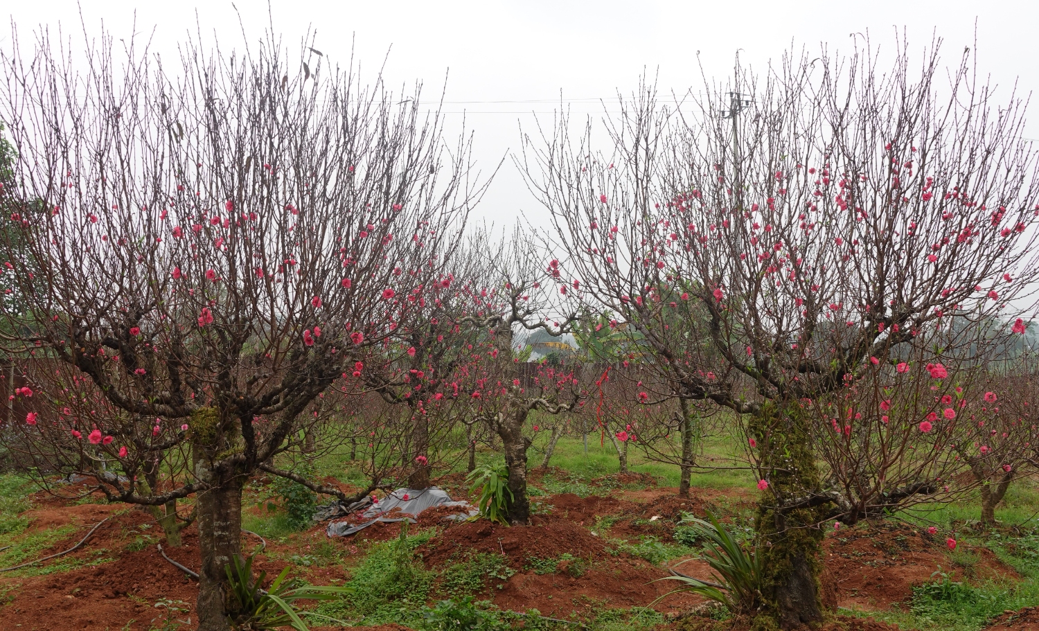 Liên minh Hợp tác xã tỉnh thăm và tặng quà Tết các đơn vị thành viên