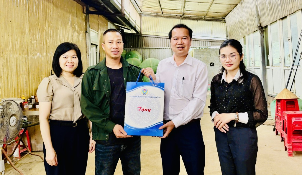 Liên minh Hợp tác xã tỉnh thăm, nắm tình hình các hợp tác xã